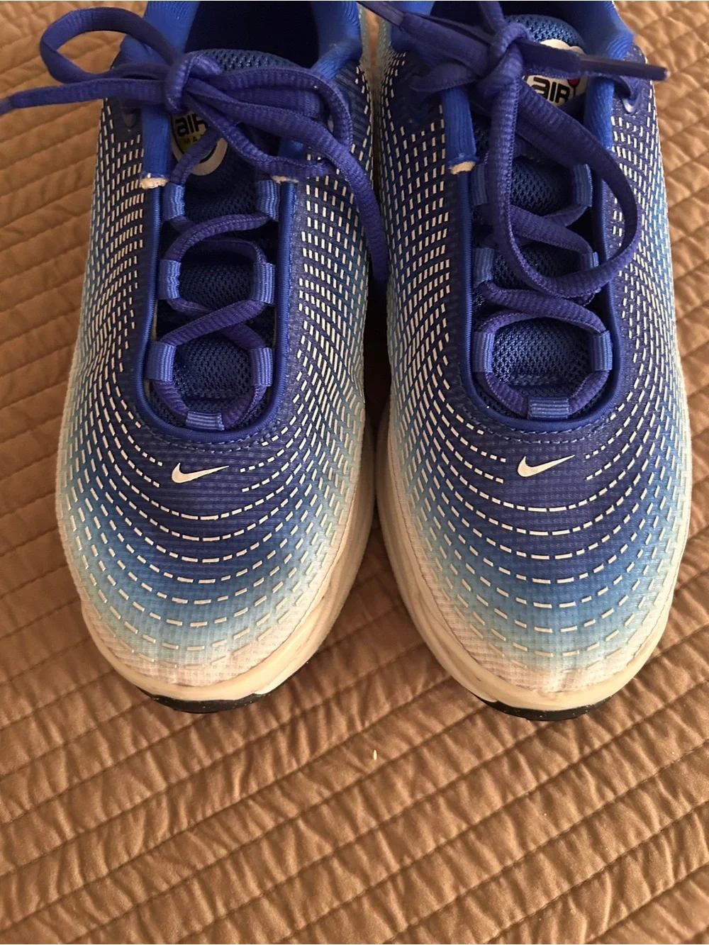 Nike Air DN SE Sneakers in Racer Blue Size 5.5